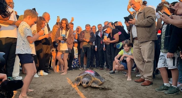 Η caretta-caretta «Τζουμχουριέτ» διέσχισε 500 χλμ και έφτασε στα Κουφονήσια!