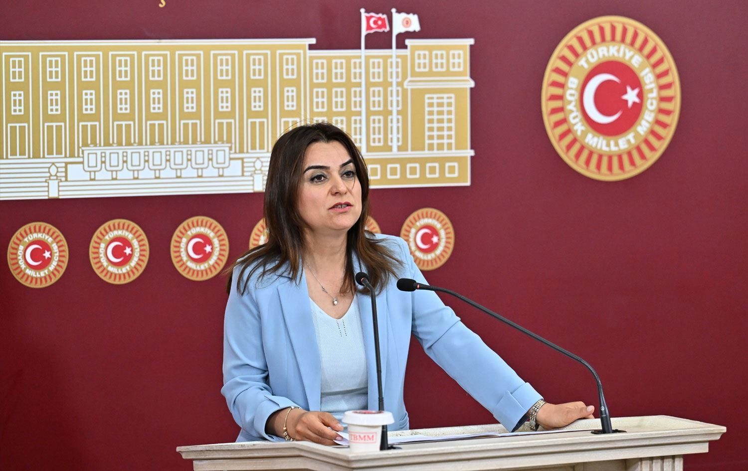 Ένταση στην τουρκική Βουλή: Συνθήματα υπέρ Οτσαλάν και αναφορά σε «Κουρδιστάν» προκαλούν θύελλα!