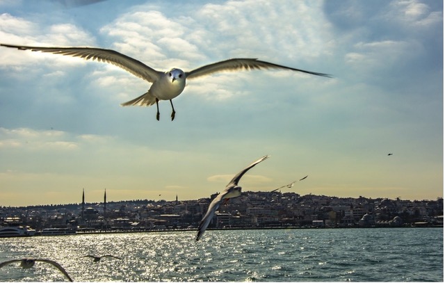 Από την Πόλη που δεν κοιμάται…στα στενά των αναμνήσεων