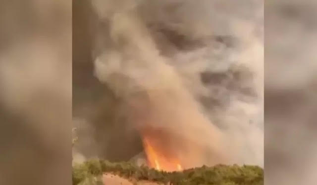 Συναγερμός πυρκαγιάς στο Μπιλετζίκ Τουρκίας – Το φαινόμενο ‘πύρινος ανεμοστρόβιλος’ απειλεί